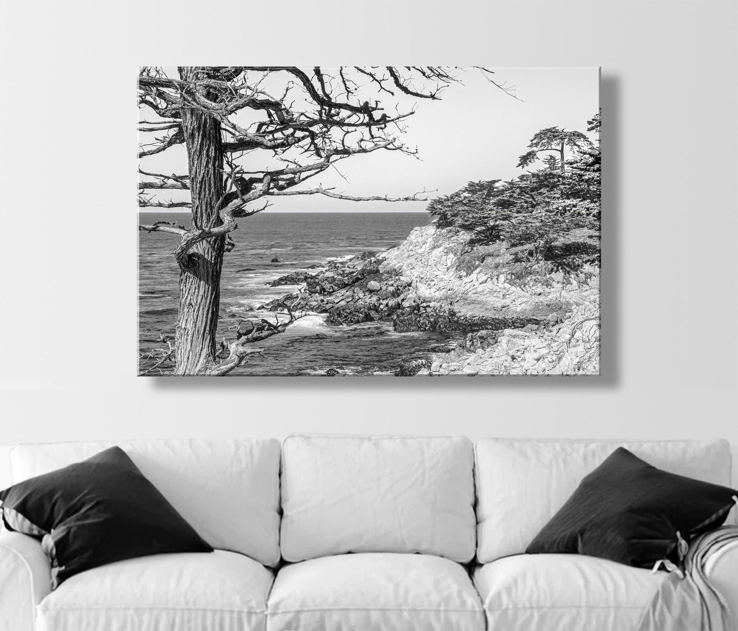 Monterey Cypress Black and White Carmel by the Sea Wall Decor
