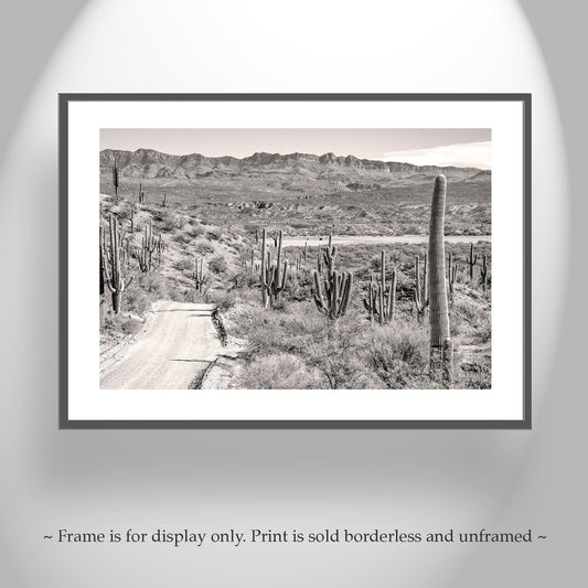 Tucson Arizona Print – Desert Road Trip Landscape Wall Art
