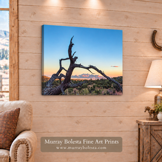 Deadwood Silhouette Canelo Hills Arizona by Murray Bolesta
