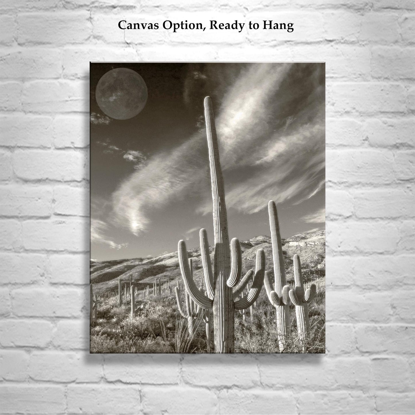 Surreal Desert Cactus Moon Art | Southwestern Wall Decor in Sepia