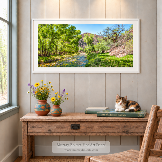 Desert spring-water in southern Arizona by Murray Bolesta in panorama