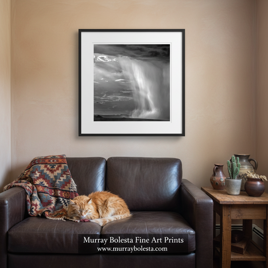 Tucson Arizona Landscape Square Print - Black and White Desert Monsoon Art