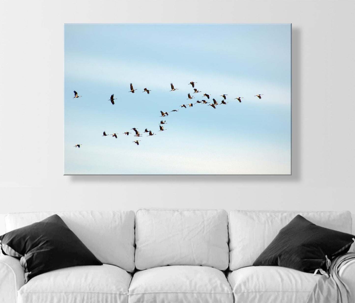 Flying Sandhill Cranes – Southern Arizona Wildlife Fine Art Print