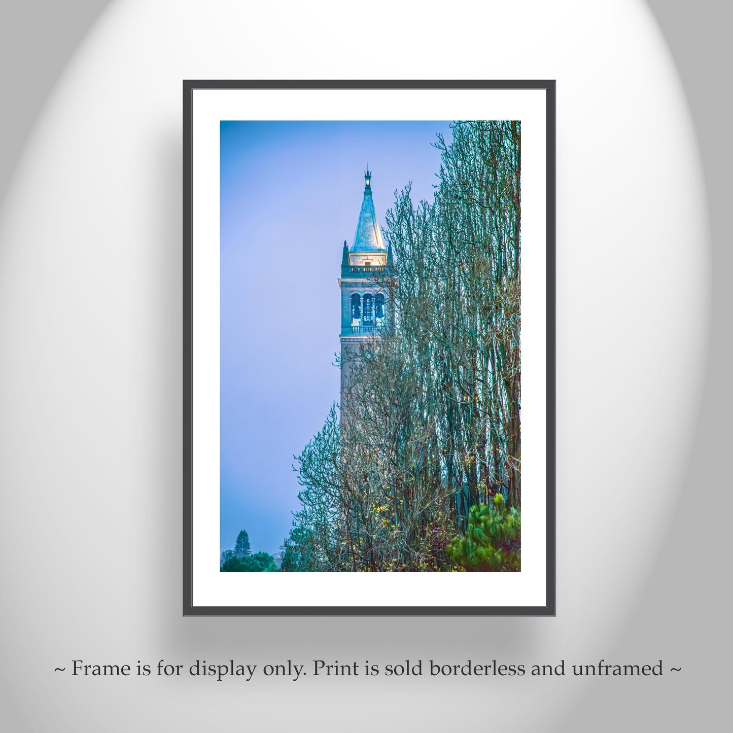 Cal Berkeley Sather Tower Campanile Wall Art – Architecture Photo Art