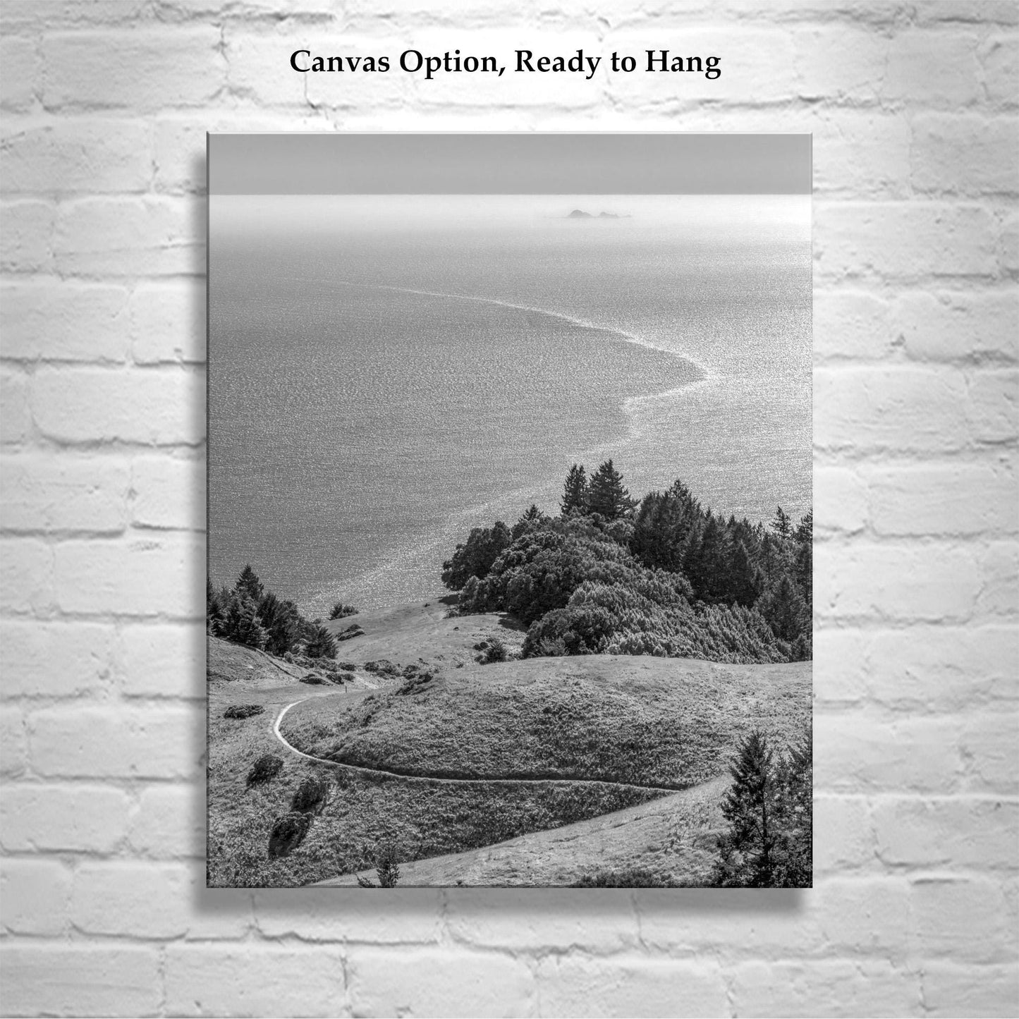 Mount Tamalpais Marin County California Black and White Art