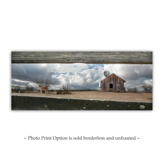 Empire Ranch Horse Art | Rustic Western Corral Wall Decor