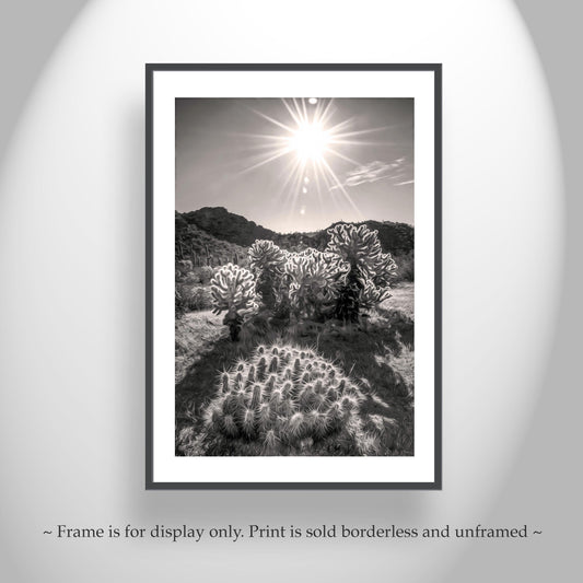 Cactus Art Print with Tucson Desert Sunrise in Sepia Tone