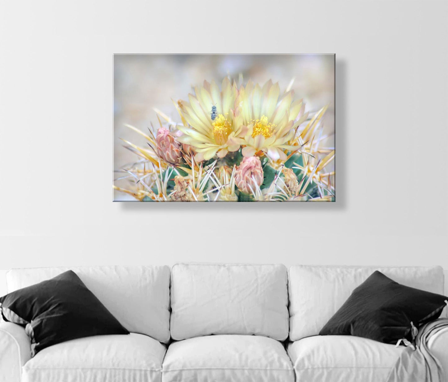 Pink Cactus Flower Art with Bee | Tucson Arizona Botanical Wall Print
