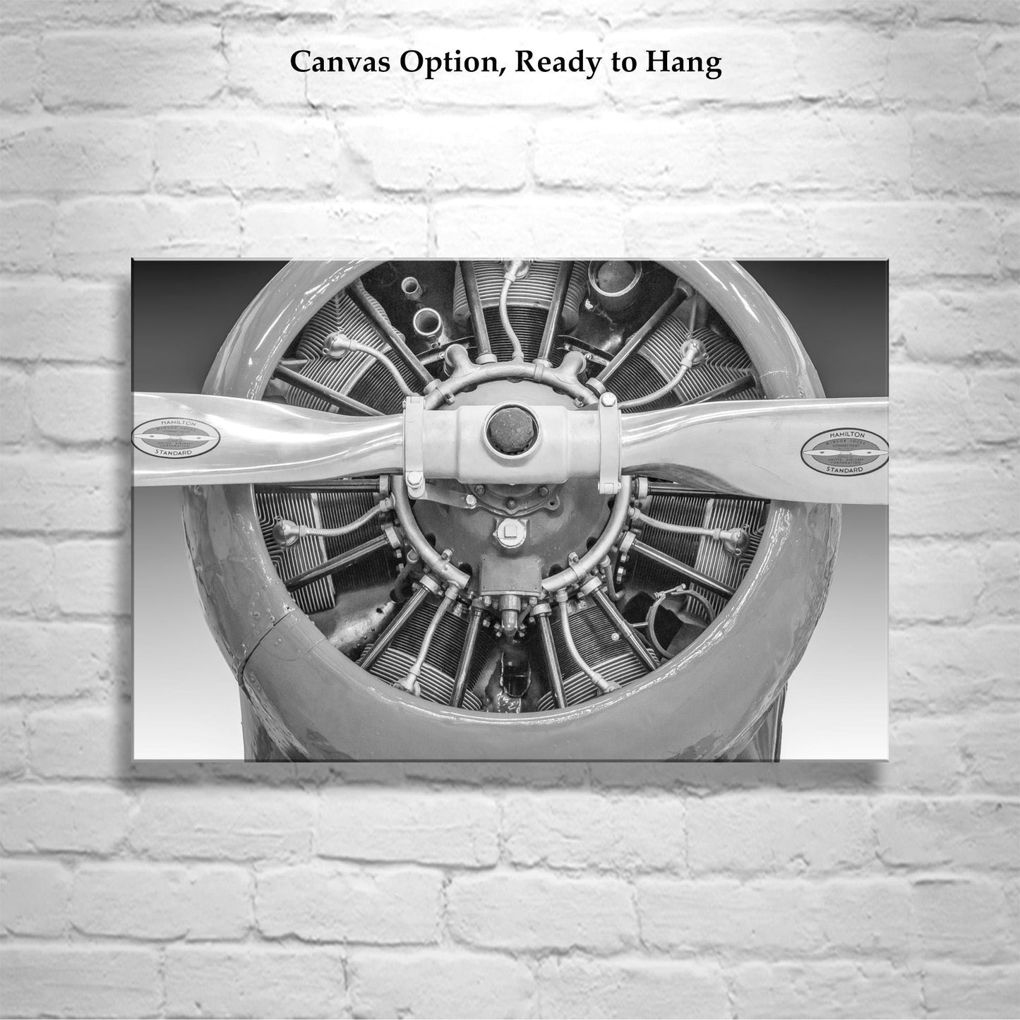Framed Vintage Biplane Wall Decor – Gift for Pilot, Ready to Hang Art