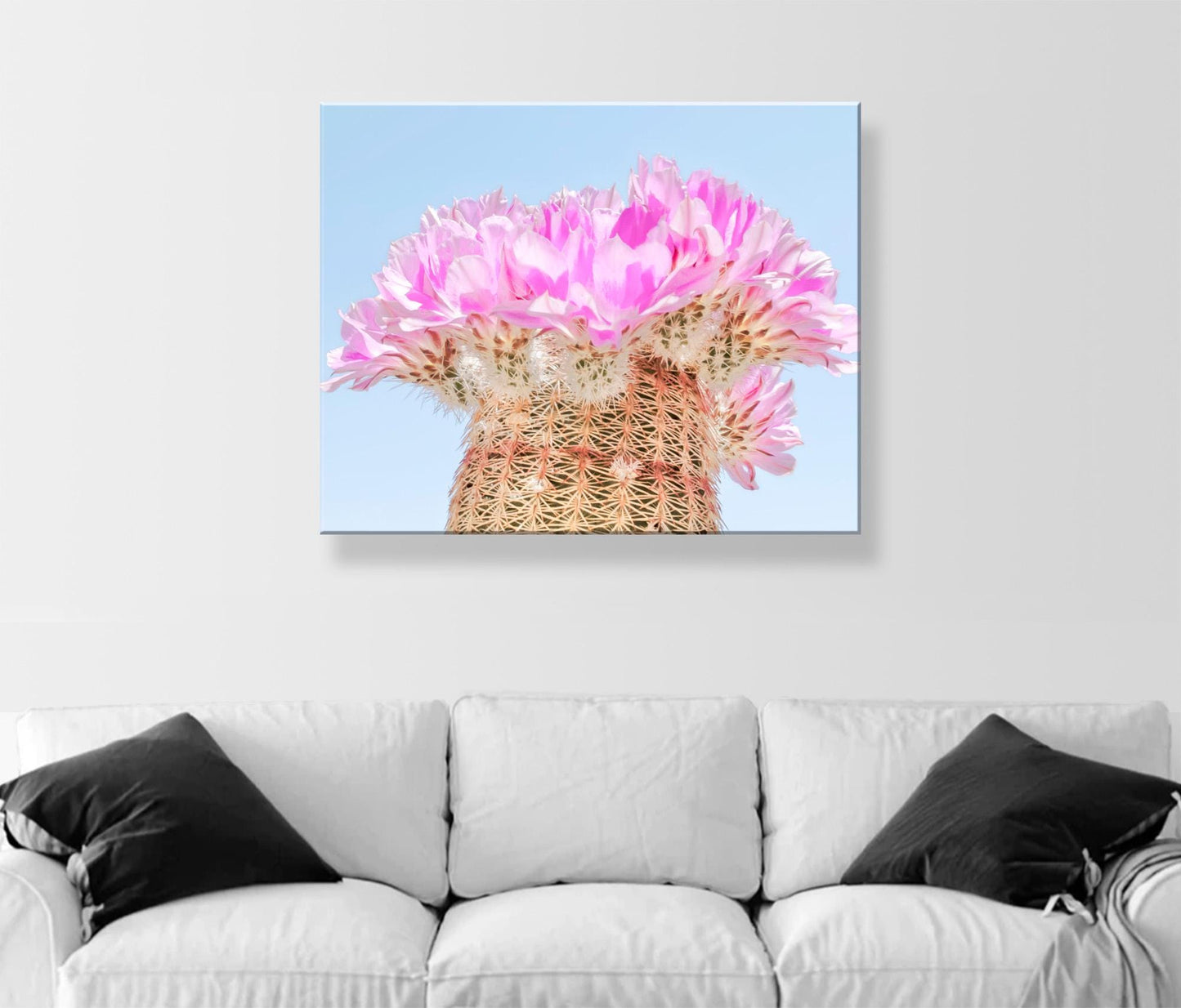 Southwest Cactus Blossom Art – Pink and Magenta Wall Decor Print