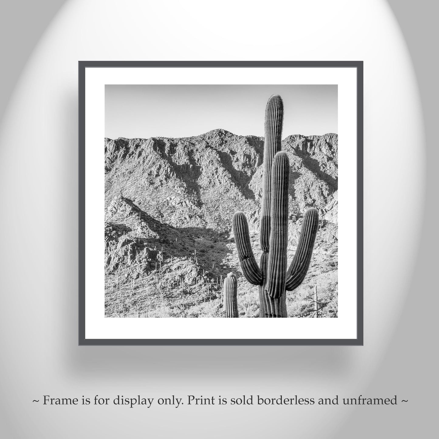 Square Black and White Desert Landscape Cactus Wall Decor