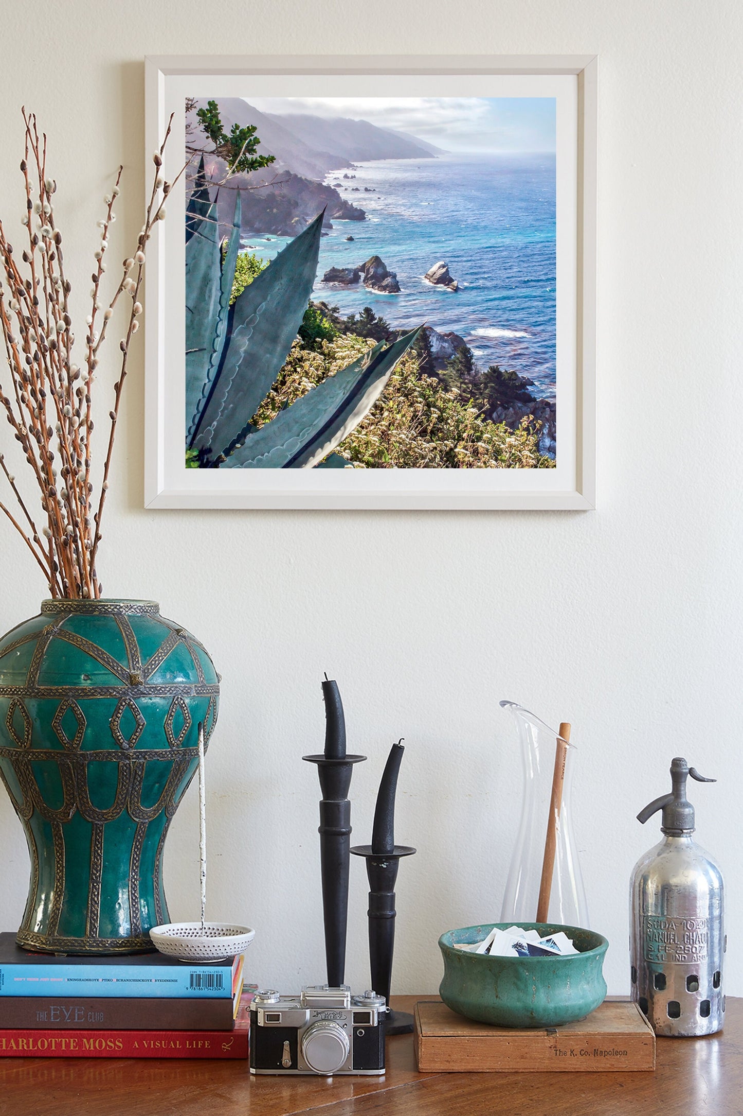 Big Sur Agave Photography Print at California Coast as Home Decor
