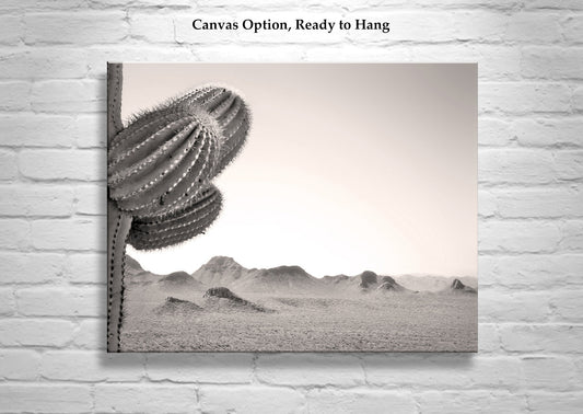 Cactus Art Print with Arizona Sonoran Desert Landscape