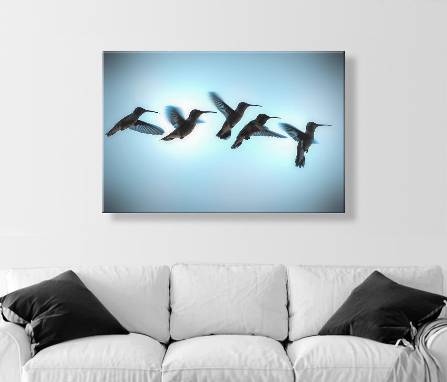 Bird Wall Decor with Hummingbird in Flight | Flying Bird Art Photography Print