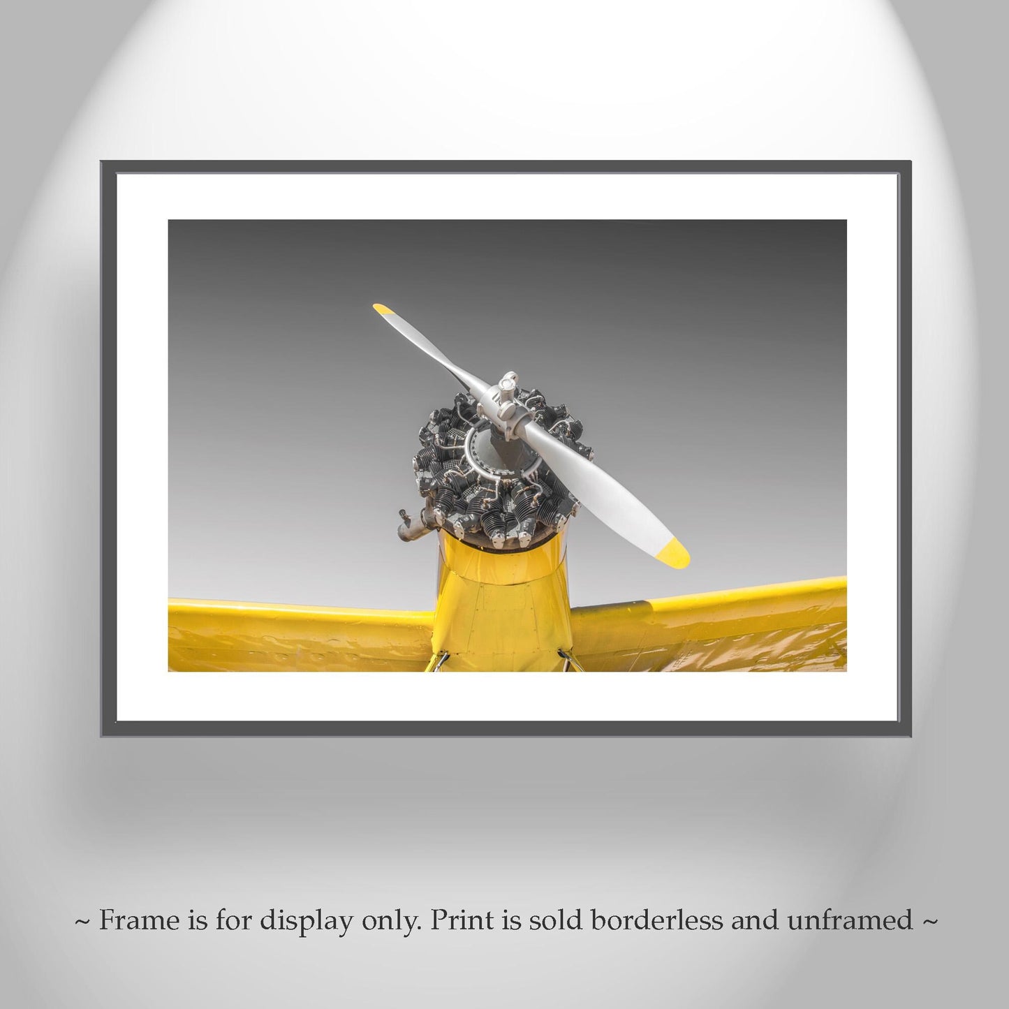Aviation Wall Decor with Vintage Crop Duster Airplane as Pilot Gift