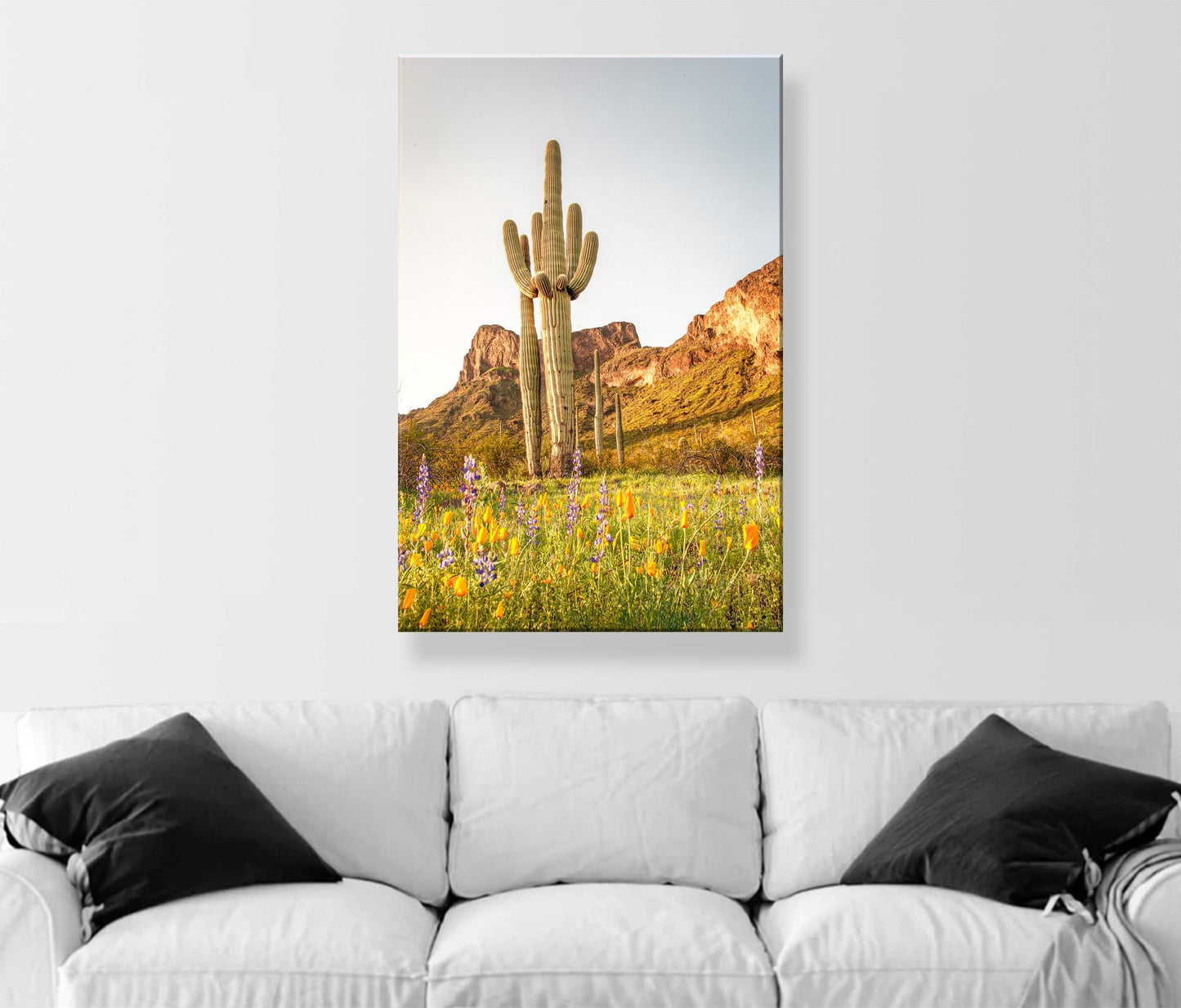 Tucson Landscape with Saguaro Cactus and Picacho Peak Desert View
