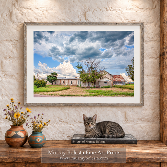Empire Ranch House art print by Murray Bolesta