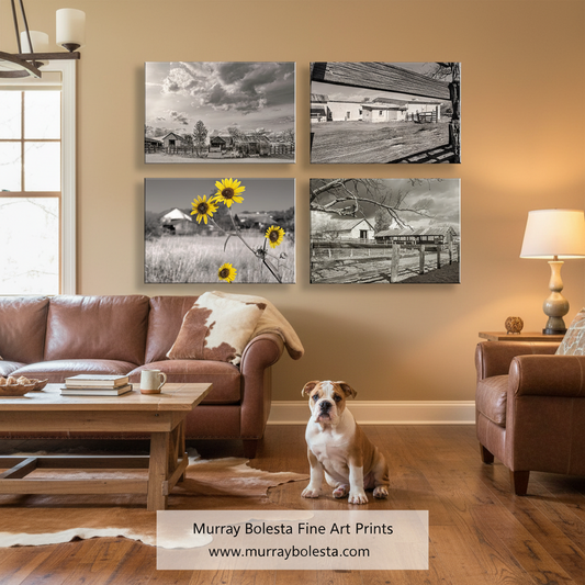 Empire Ranch by Murray Bolesta.A styled living room interior showing a set of four canvas wall art prints mounted above a brown leather sofa. The prints feature black-and-white farm scenes and two prints with yellow sunflower accents.