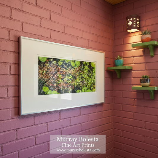 Empire Ranch Arizona Spring Water Nature Photography in Panorama by Murray Bolesta