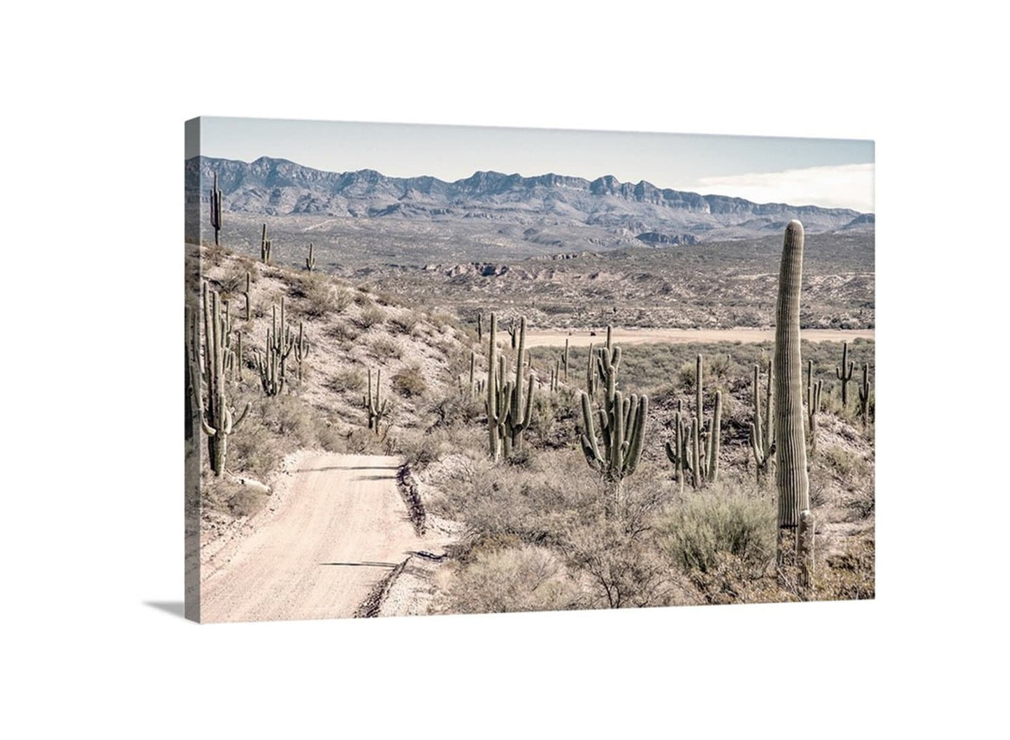 Tucson Arizona Print | Southwestern Desert Road Trip Landscape Art