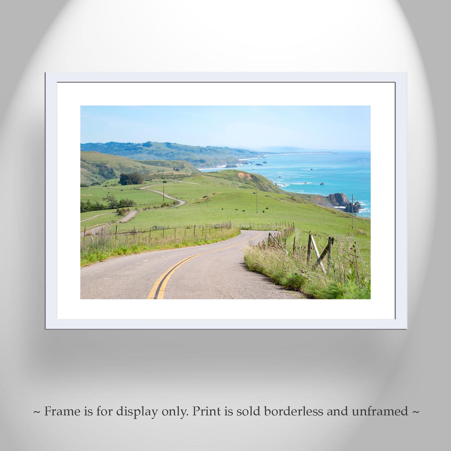 Mendocino Coast Sonoma Coast Bodega Bay Art Print