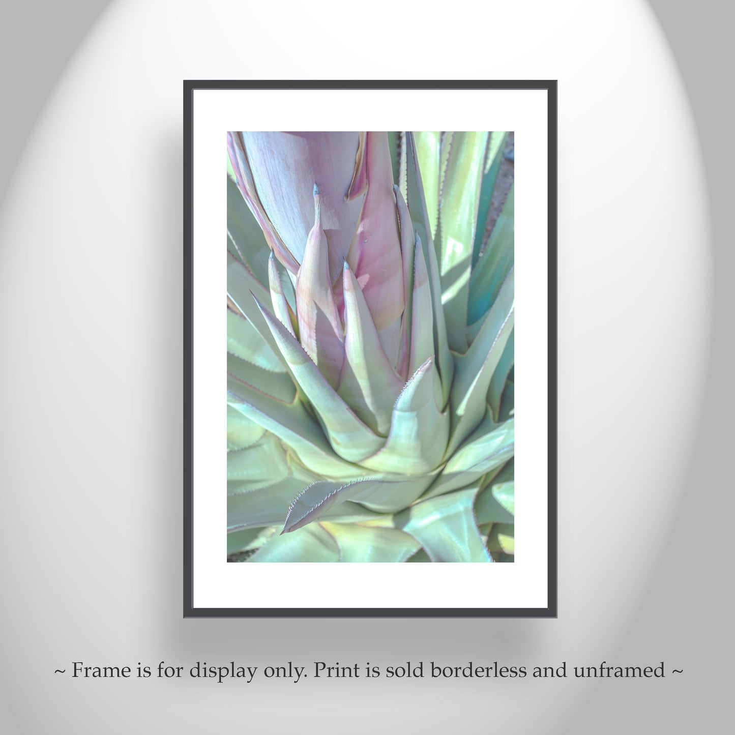 Pastel Blue Agave Botanical Wall Art Print from Tucson Desert