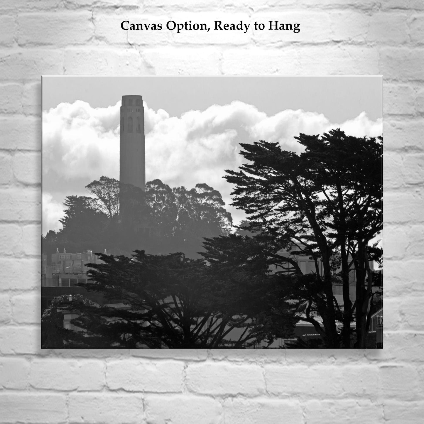 Coit Tower San Francisco Art Photography in Black and White