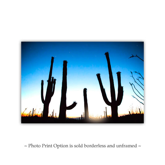 Cactus Sunset Silhouette Print – Arizona Saguaro Desert Wall Art