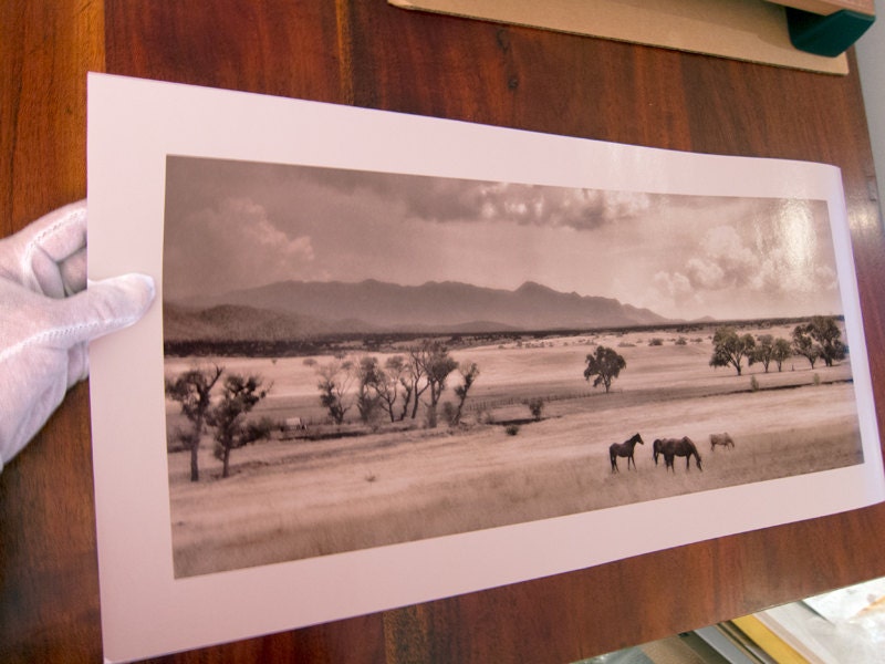 Western Horse Ranch Landscape Photography Art Print in Panorama | Tucson Nogales Mexico Border