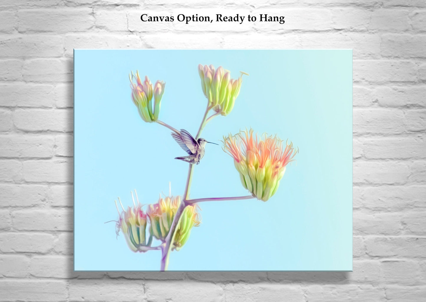 Hummingbird Artwork on Spring Arizona Desert Agave