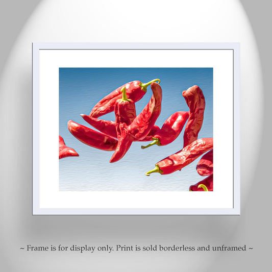 Southwestern Chili Pepper Art - Tucson Food Photography Wall Print
