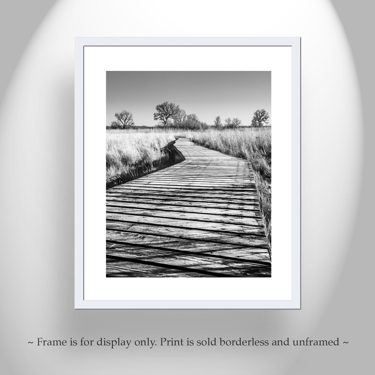 Surreal Black & White Boardwalk Art Print | Arivaca Cienega Arizona