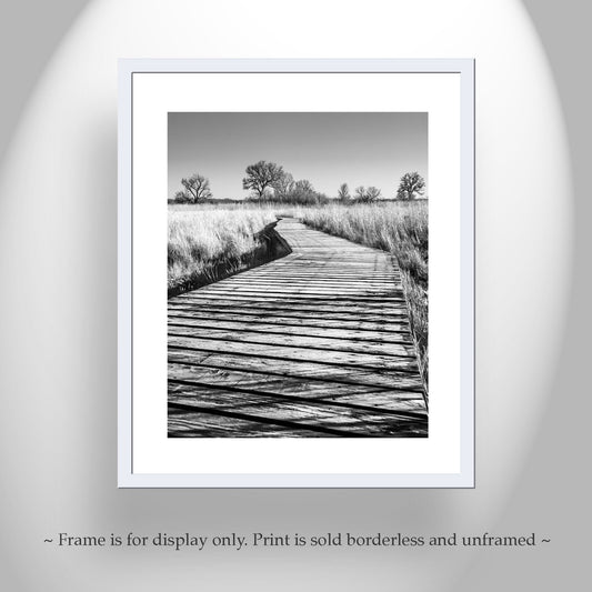 Surreal Black & White Boardwalk Art - Arivaca Cienega Arizona Nature Trail