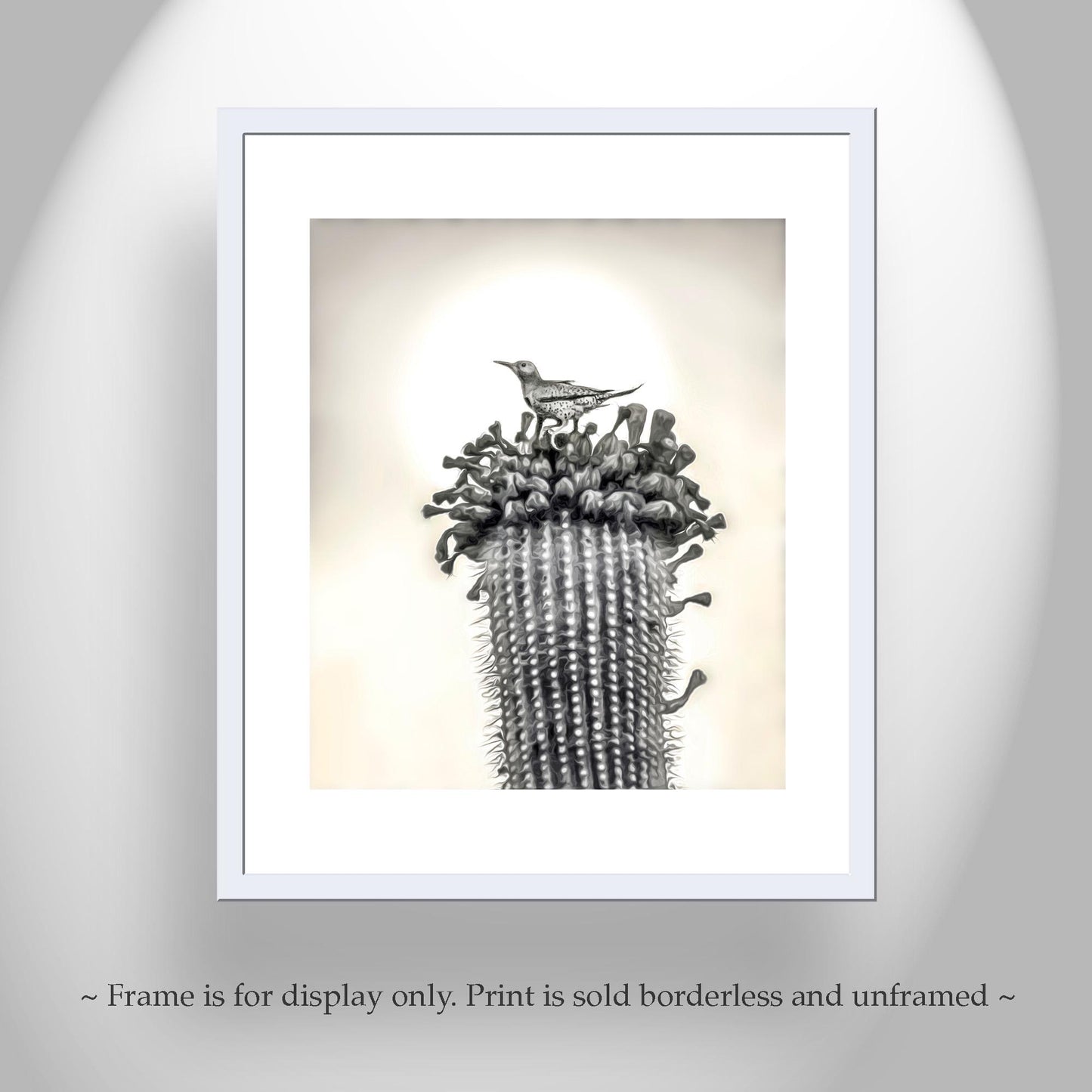 Desert Cactus Bird Artgraph | Southwestern Style Wall Art | Tucson