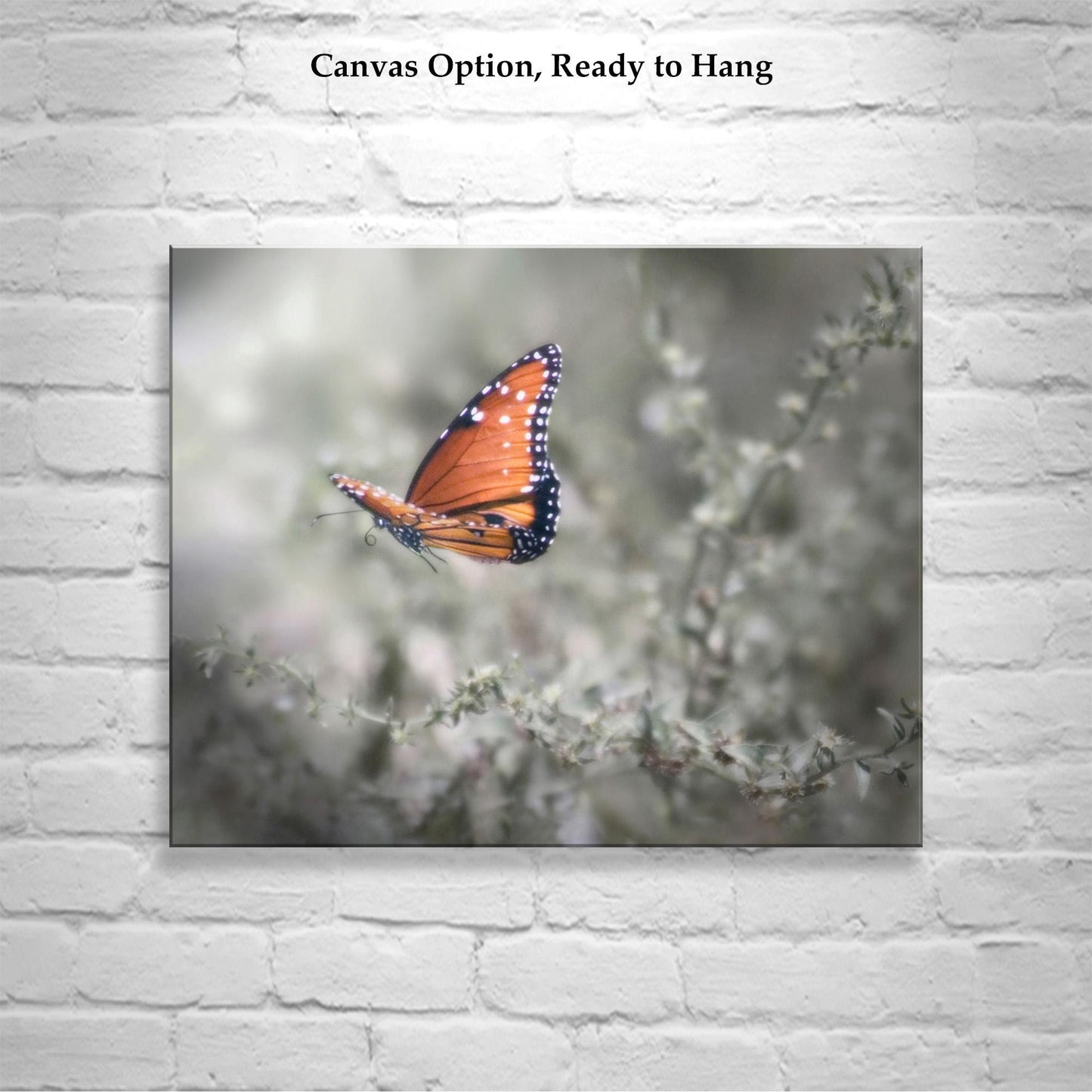 Queen Butterfly in Flight – Dreamy Nature Wall Art