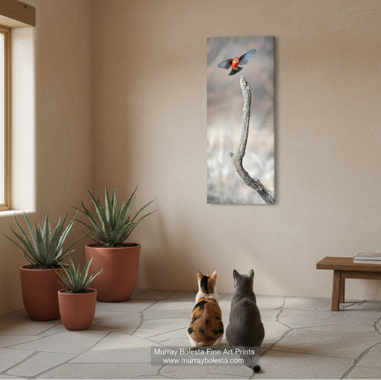 Arivaca Arizona bird art by Murray Bolesta! A vertical canvas art print depicting a small bird perched on a branch, displayed on a beige wall in a styled room with two cats sitting below and potted plants to the left.