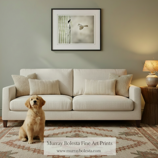 A framed art print by Murray Bolesta hangs on a sage green wall above a cream-colored sofa in a styled living room. The print features a minimalist bird painting.