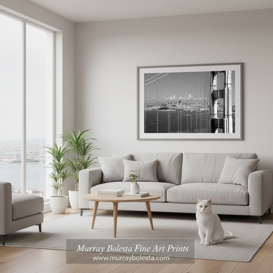 A framed black and white San Francisco cityscape art print by Murray Bolesta hangs on a light gray wall above a modern light gray sofa in a bright, contemporary living room with a white cat sitting on the floor.