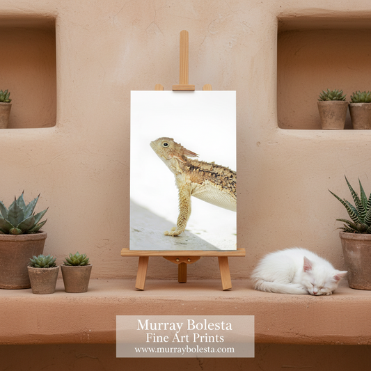 Arizona horned lizard by Murray Bolesta! A framed-style art print of a desert lizard on a small easel, displayed against a warm beige adobe wall with potted succulents and a sleeping white cat. Text at the bottom reads 'Murray Bolesta Fine Art Prints' with the website.