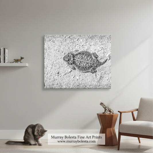 Horned Lizard Print – Arizona Desert Wildlife Wall Art