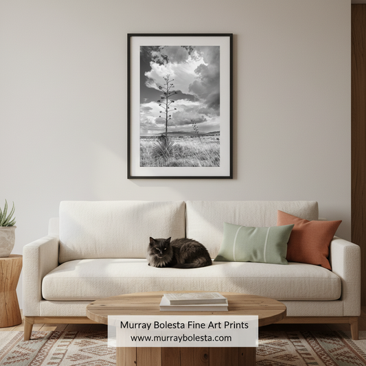 Arizona Monsoon Landscape Art - Black and White Century Plant Desert Print