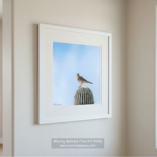 A bird perches on a cactus against a clear blue sky. Arizona Merlin Falcon on Desert Cactus - Bird Wall Decor Print by Murray Bolesta