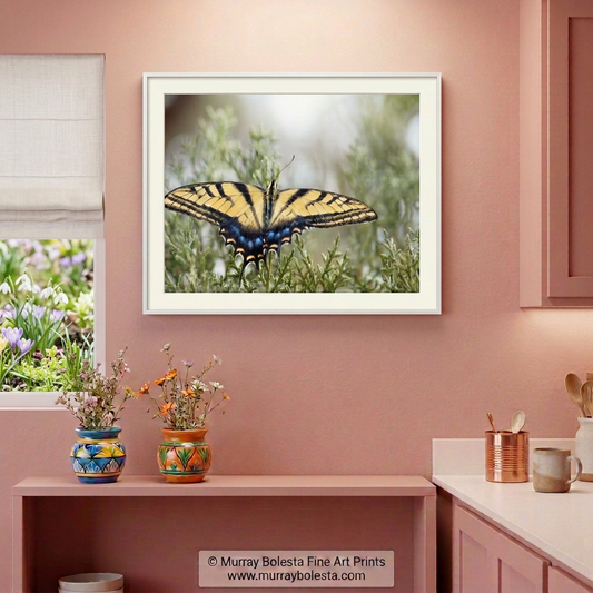 Kitchen with butterfly art by Murray Bolesta. Arizona insect photography.