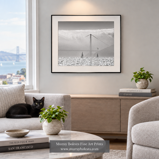 Light-grey Bay Area apartment artwork mockup with a lounging black cat by Murray Bolesta