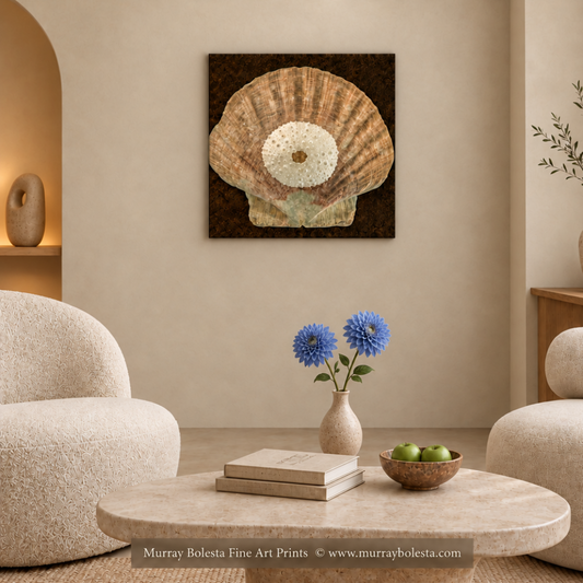 Abstract Seashell Still Life art by Murray Bolesta