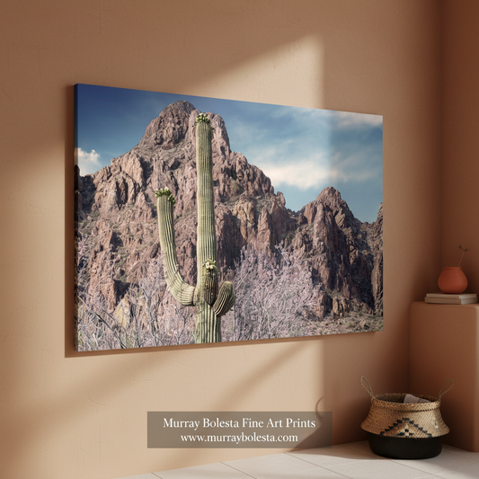 A tall cactus stands in the foreground, with a rugged mountain range in the background under a blue sky with clouds.Tucson Arizona Desert Mountain Landscape Art Print with Ironwood Flowers by Murray Bolesta
