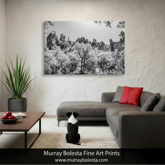 Arizona Mexico Border Desert Canyon Art Print | Black and White Photography by Murray Bolesta