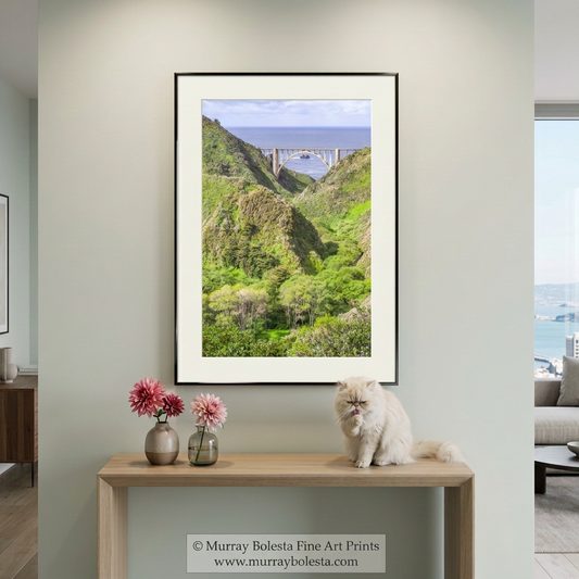 Bixby Creek Bridge Big Sur California, art print by Murray Bolesta