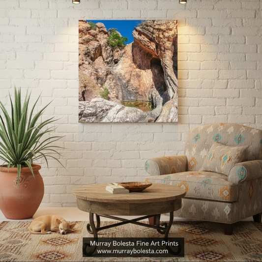 Arizona Desert Canyon Pool Art Print | Border Wilderness Square Photograph by Murray Bolesta