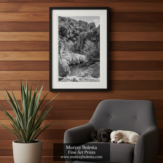 A black and white photograph depicting a rocky landscape with a small body of water in the foreground. Sycamore Canyon Arizona art by Murray Bolesta!